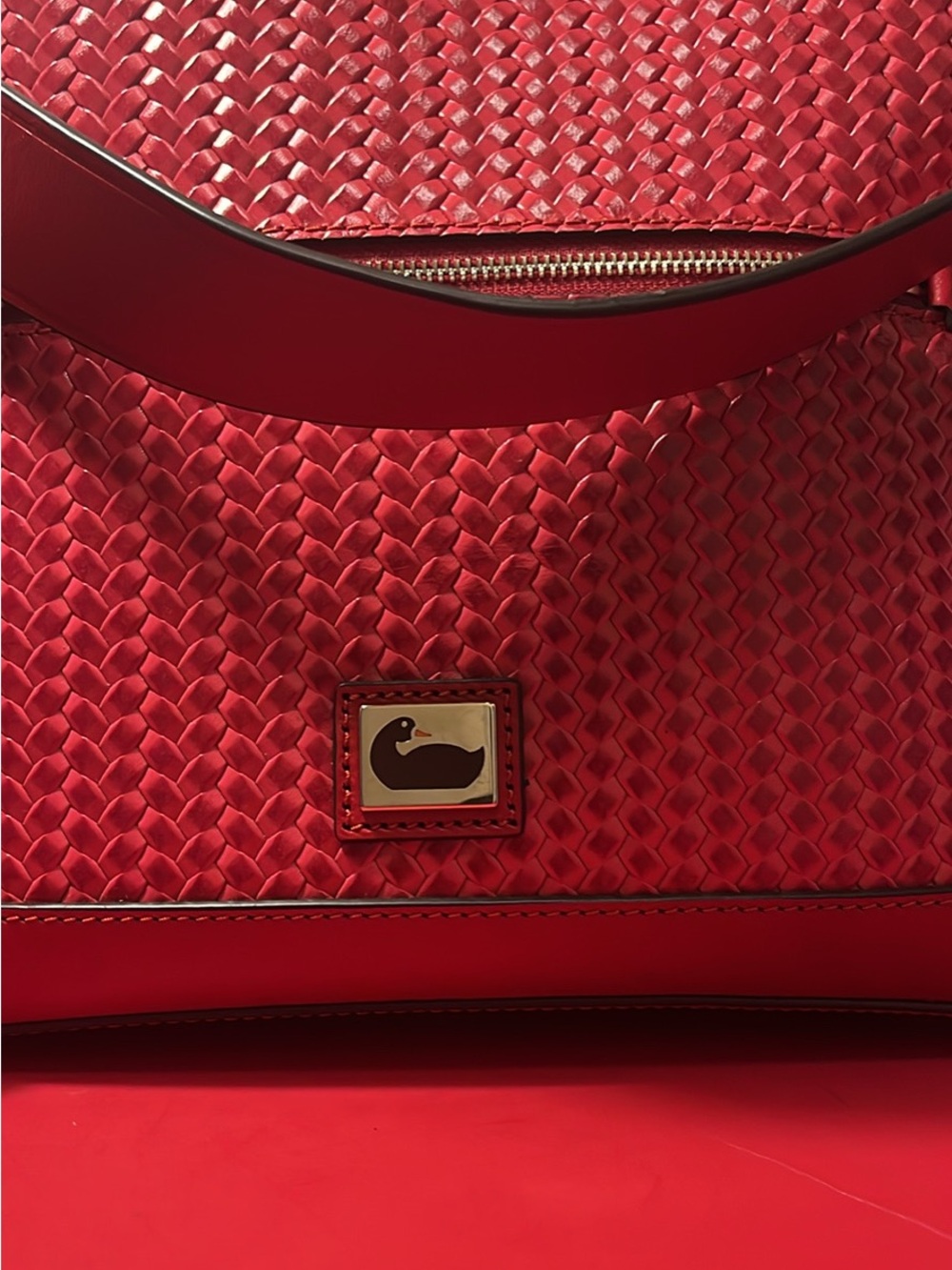 Dooney & Bourke Red Woven Shoulder Bag